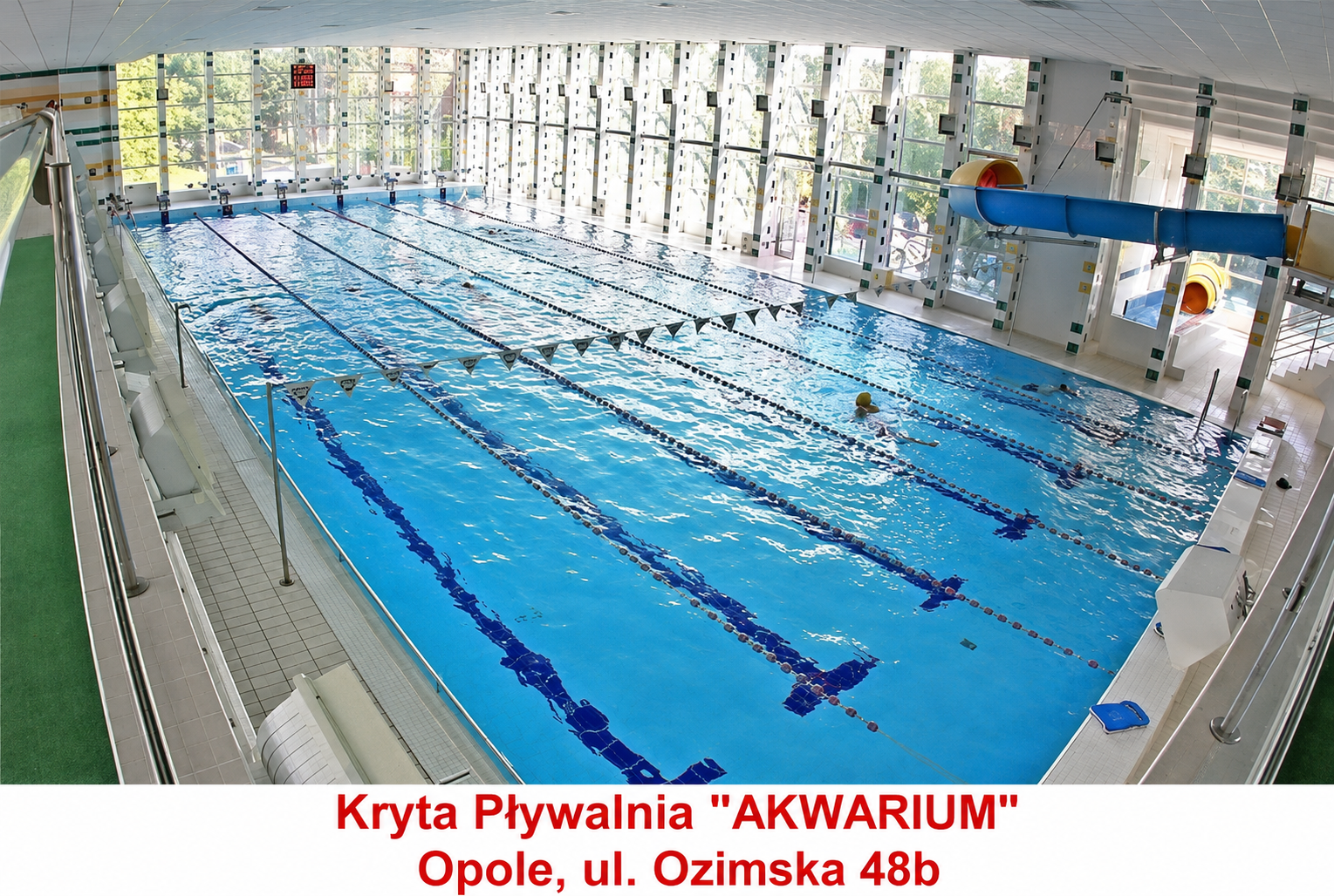 AKWARIUM