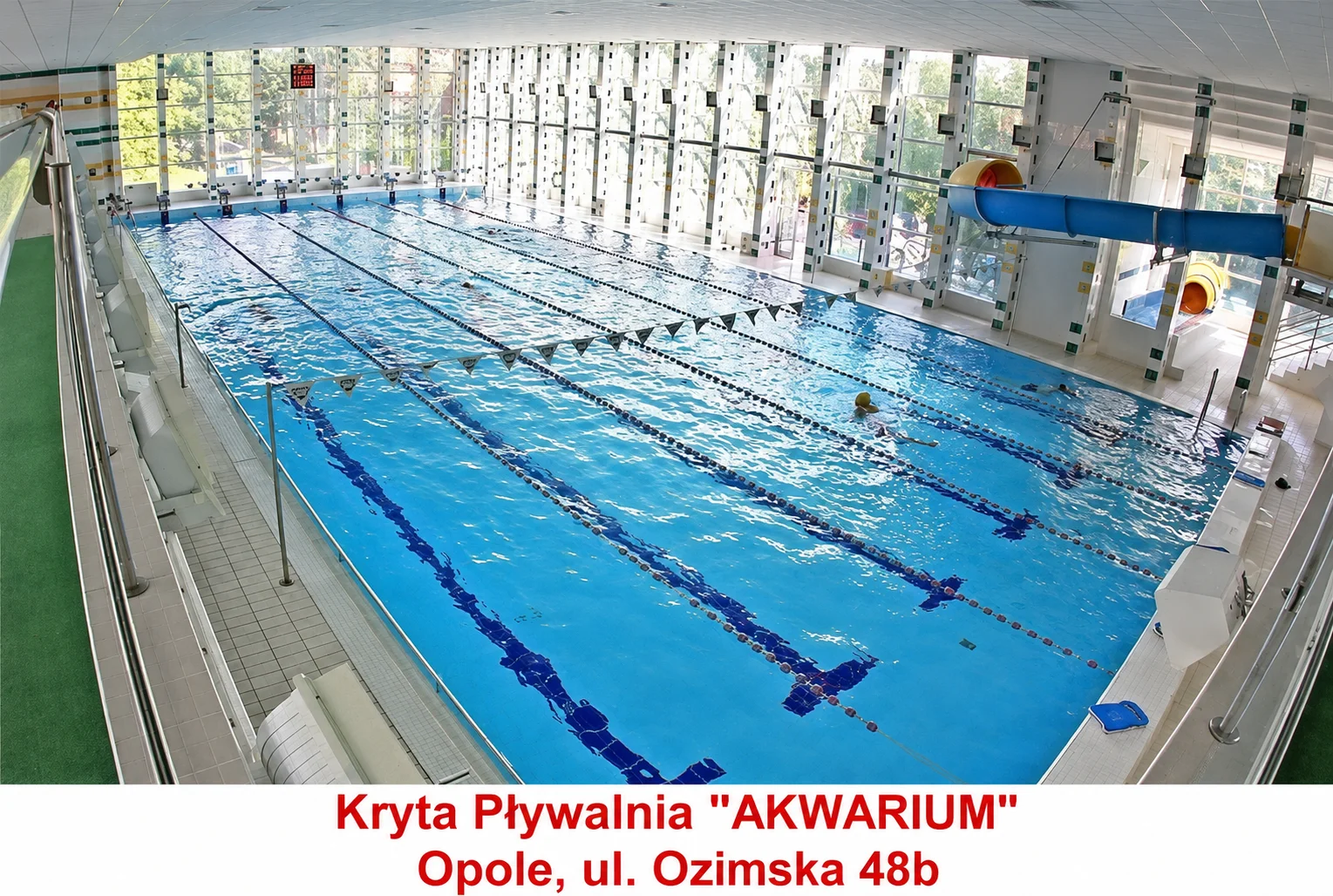 AKWARIUM